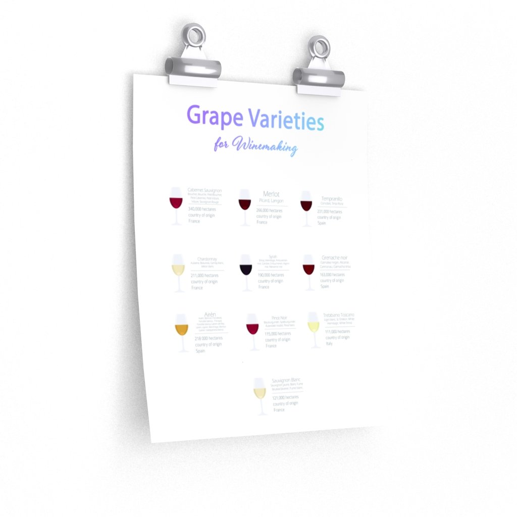 Grape Varieties for Winemaking poster showcasing various grape types, printed on premium matte paper, ideal for room decor.