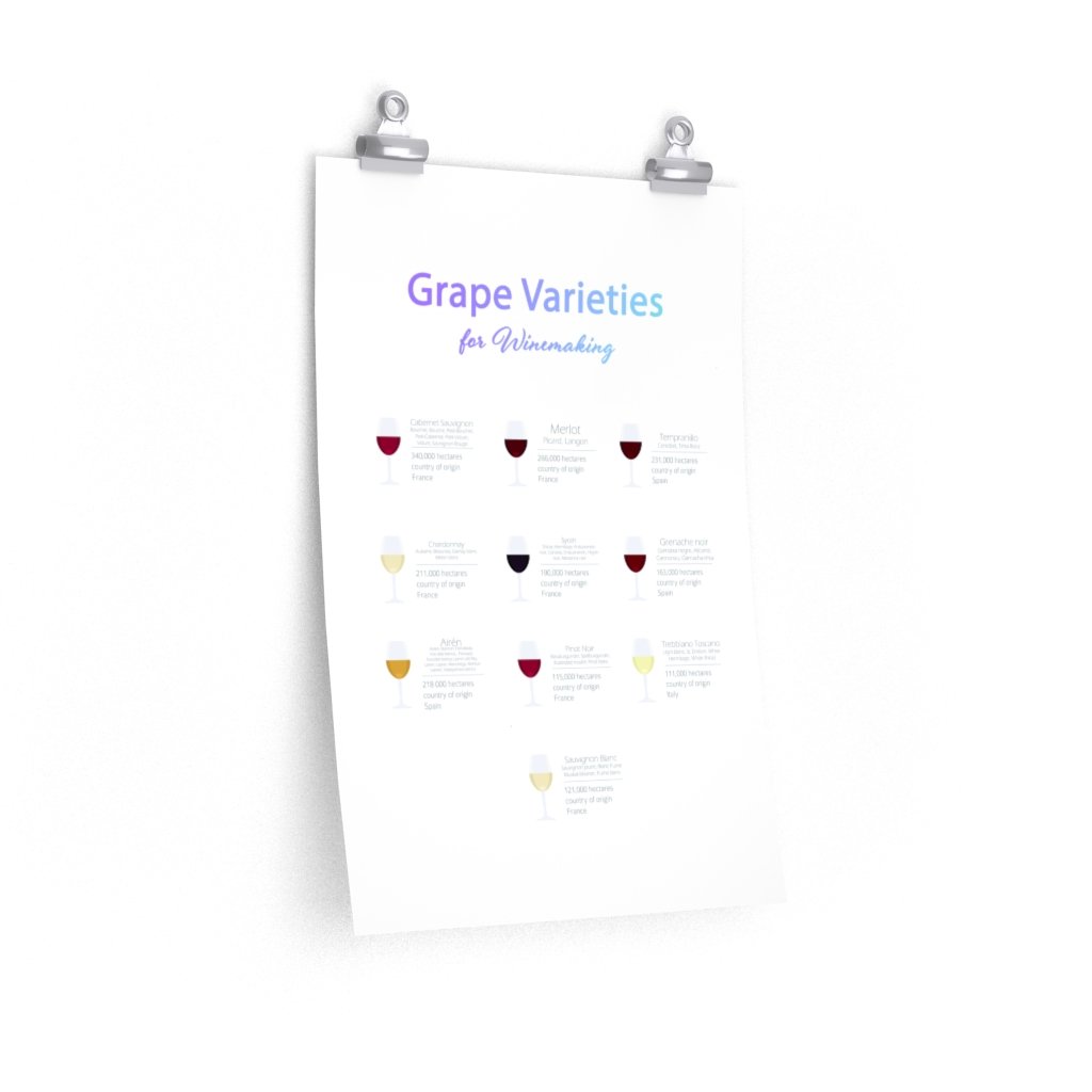 Grape Varieties for Winemaking poster showcasing various grape types, printed on premium matte paper, ideal for room decor.