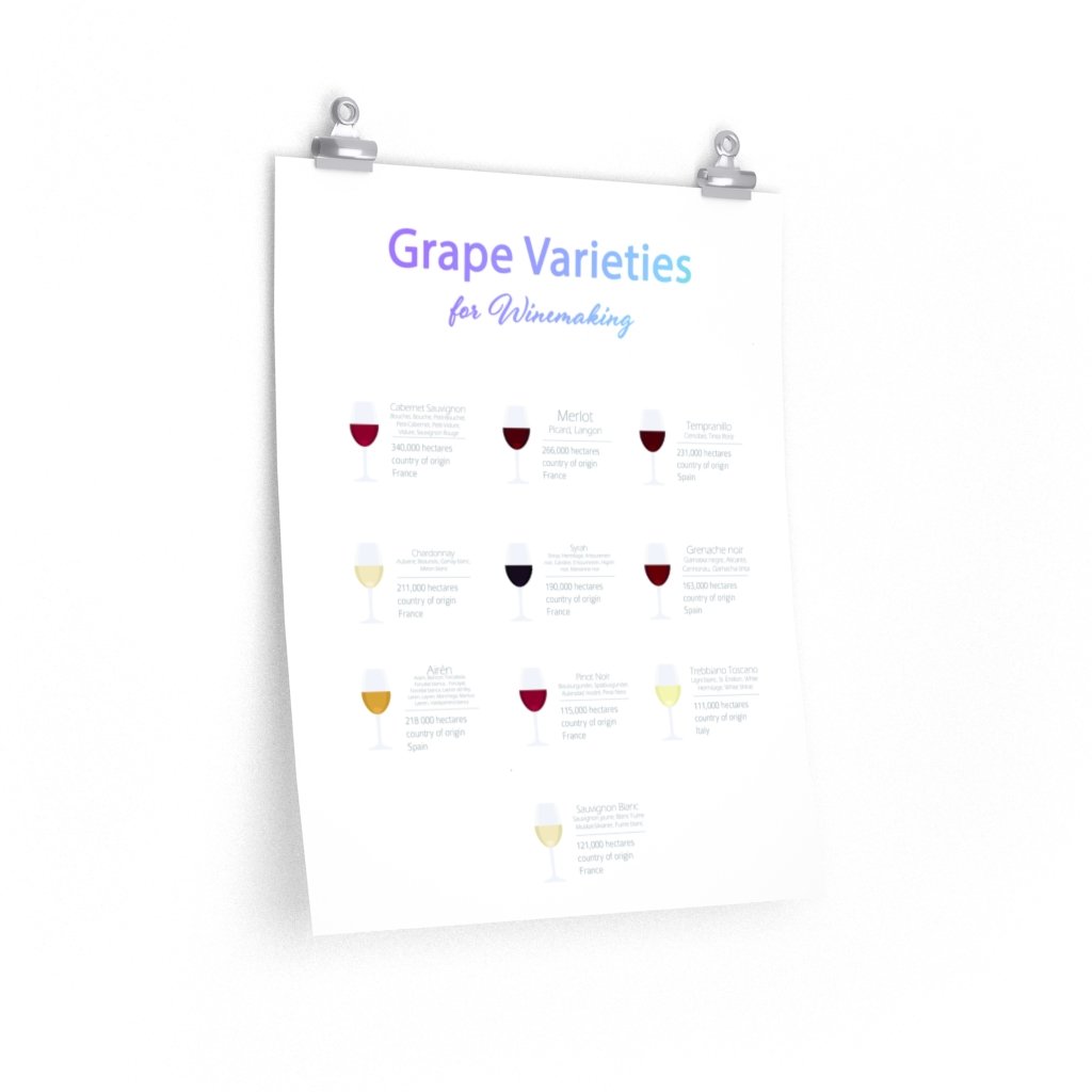 Grape Varieties for Winemaking poster showcasing various grape types, printed on premium matte paper, ideal for room decor.