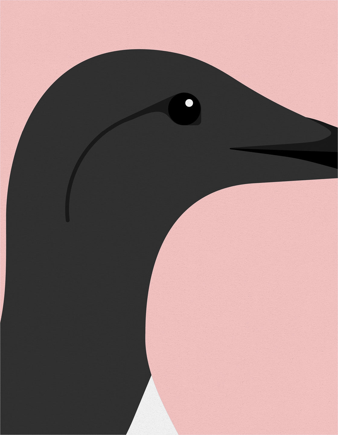 A minimalistic art print of a Guillemot bird, showcasing coastal charm and elegance.