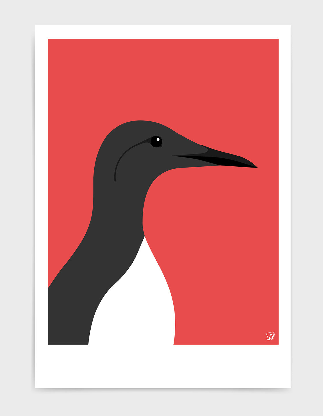 A minimalistic art print of a Guillemot bird, showcasing coastal charm and elegance.