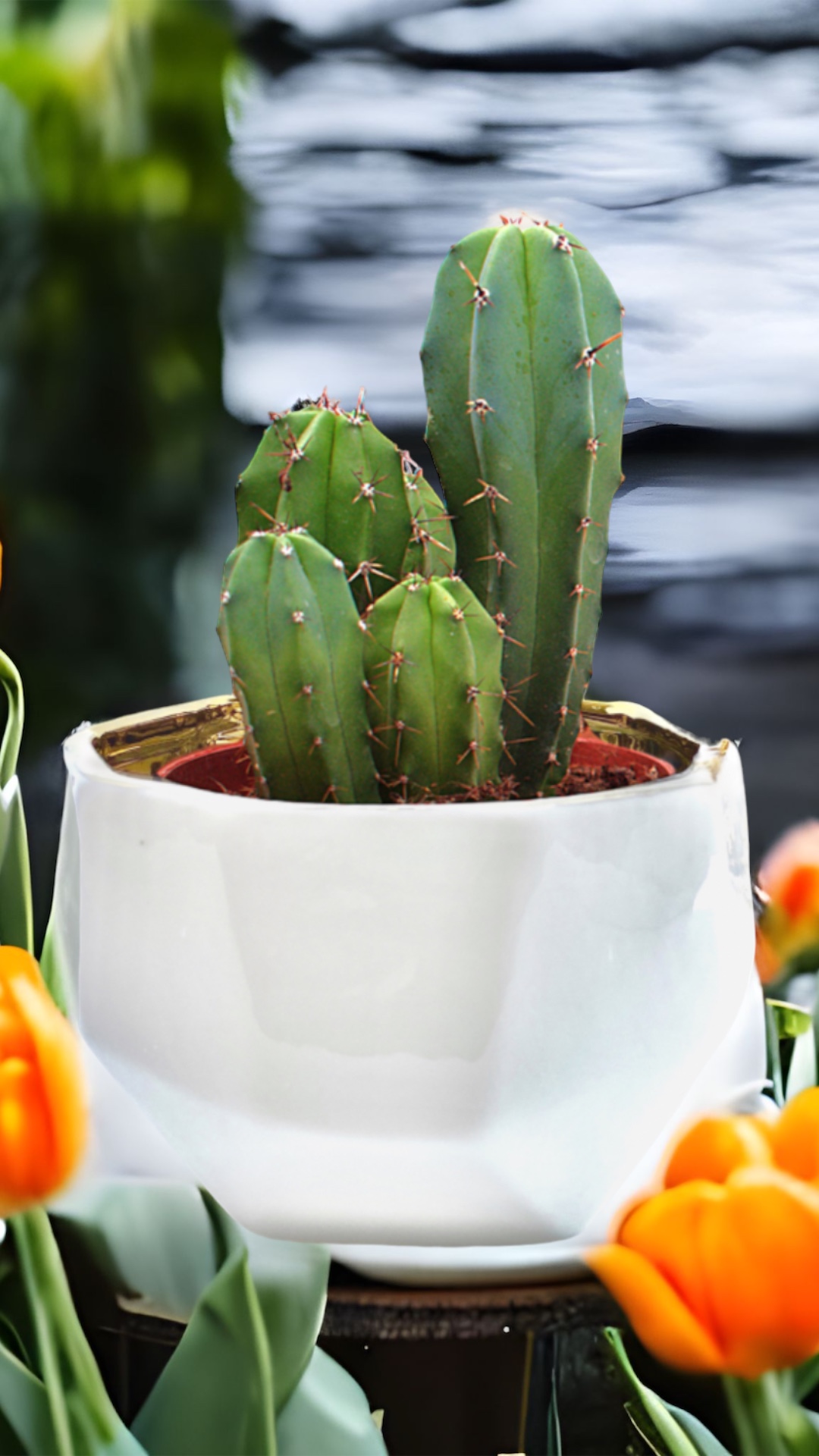 Handmade Elegant White & Gold Ceramic Planter with unique facets and gold interior, perfect for plants or decorative storage.