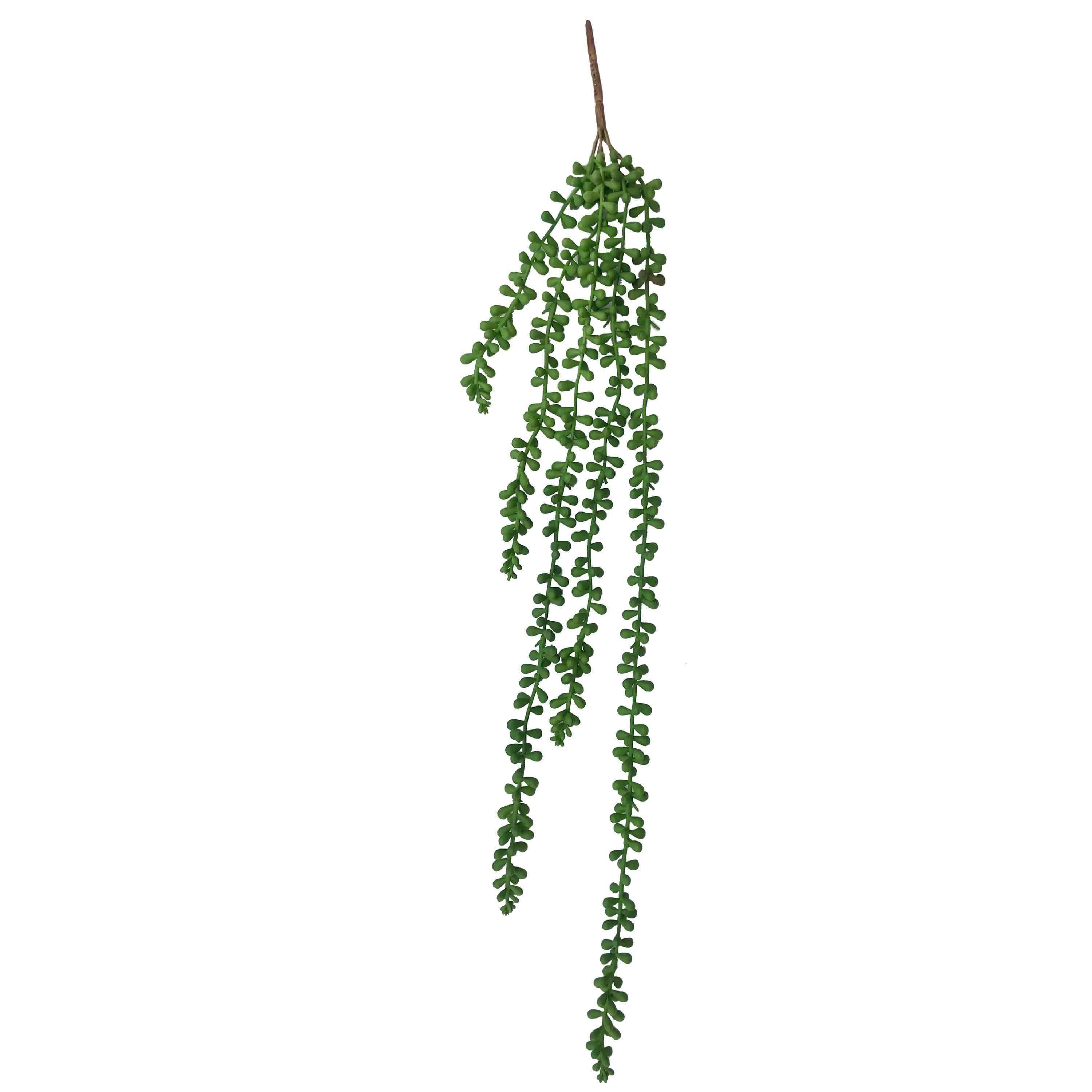 A 75cm long hanging string of artificial succulent pearls, featuring multiple vines with realistic green beads, perfect for home decor.