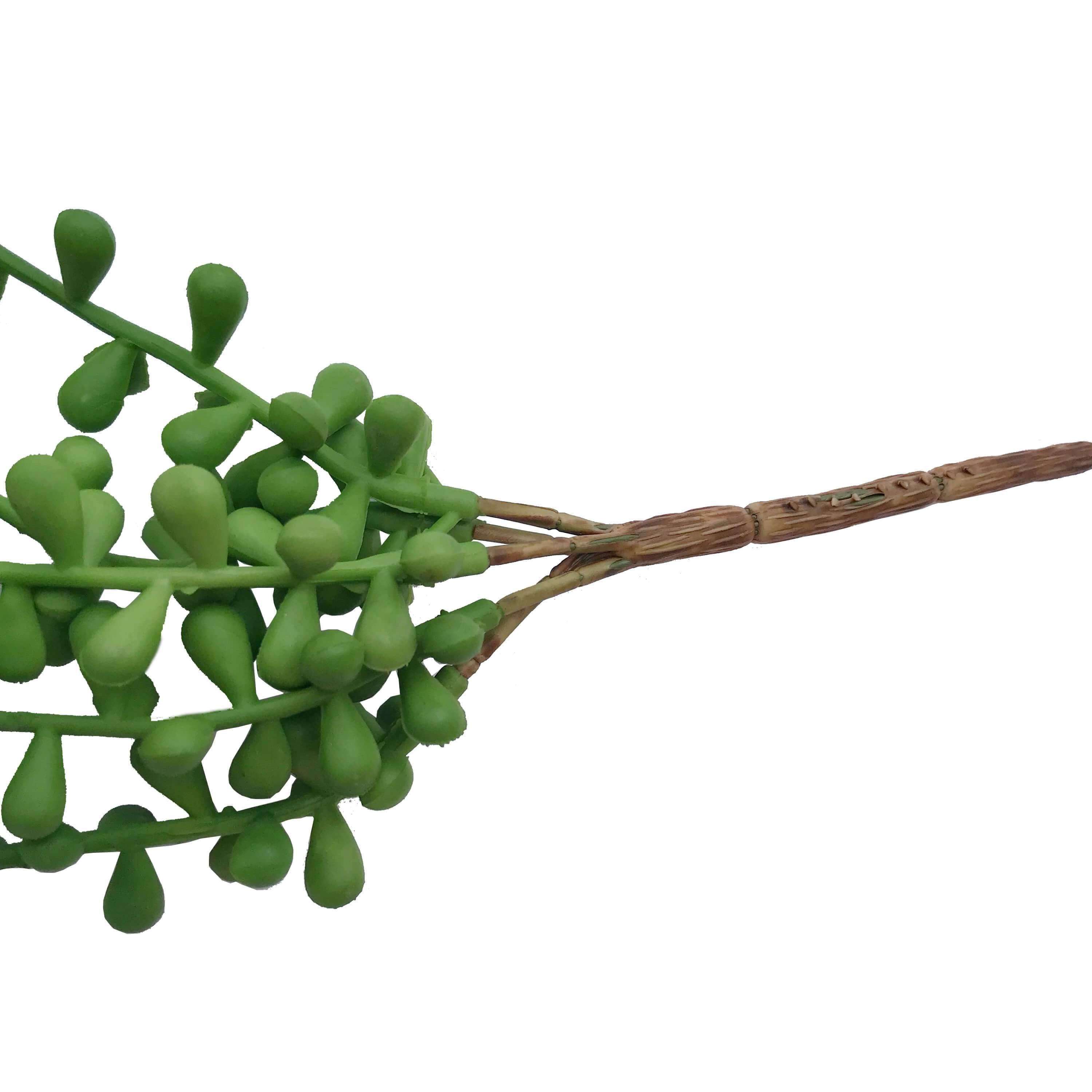 A 75cm long hanging string of artificial succulent pearls, featuring multiple vines with realistic green beads, perfect for home decor.