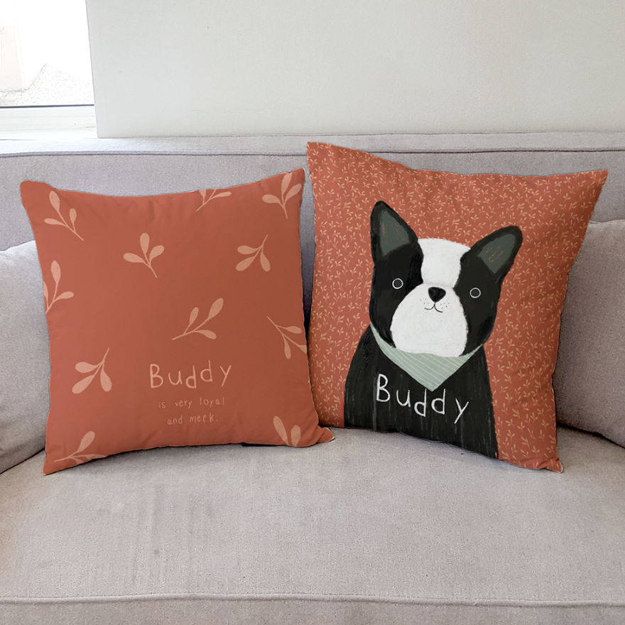 Hey Friends_Buddy double-sided cushion showcasing its stylish design and high-quality microfiber material.