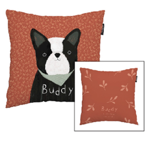 Hey Friends_Buddy double-sided cushion showcasing its stylish design and high-quality microfiber material.