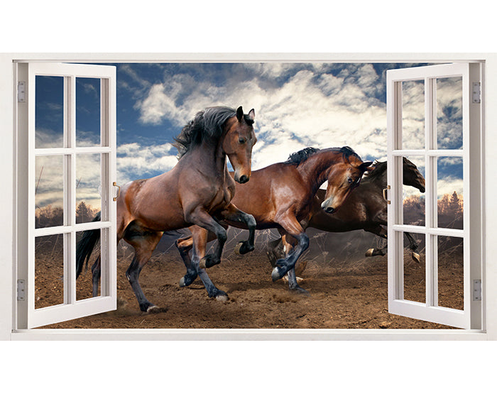 A collection of impressive 3D window wall decals showcasing vibrant designs, suitable for various smooth surfaces.