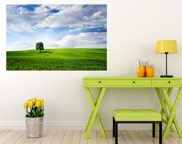 A collection of colorful removable wall decals displayed on a smooth surface, showcasing various designs and patterns.