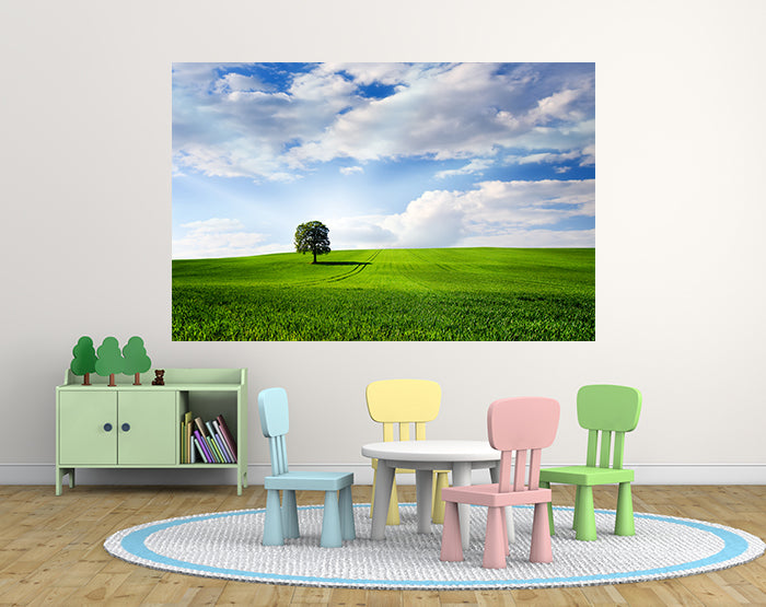 A collection of colorful removable wall decals displayed on a smooth surface, showcasing various designs and patterns.