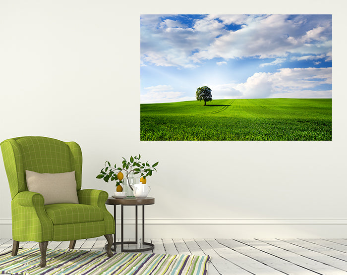 A collection of colorful removable wall decals displayed on a smooth surface, showcasing various designs and patterns.