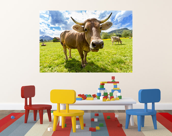 A collection of colorful and stylish removable wall decals displayed on a smooth surface, showcasing various designs suitable for home decor.