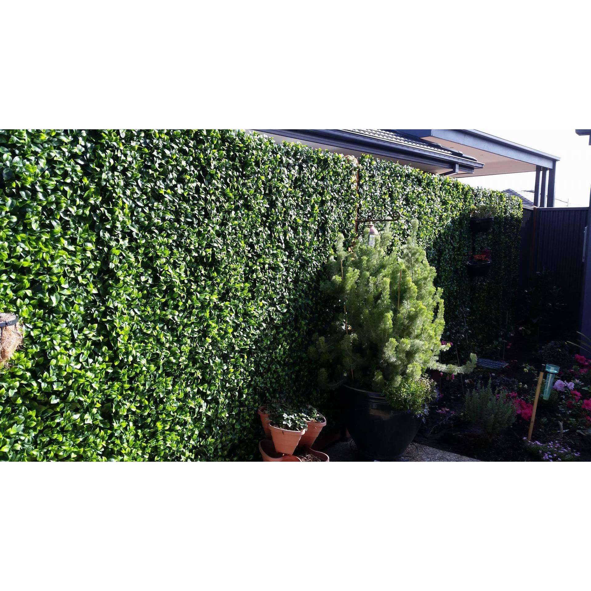 Jasmine Artificial Hedge Screen, a lush green wall panel, showcasing realistic foliage for indoor and outdoor use.