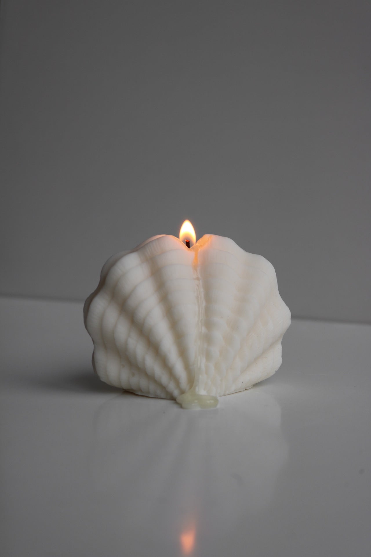 Large decorative shell candle with an elegant design, perfect for home decor.