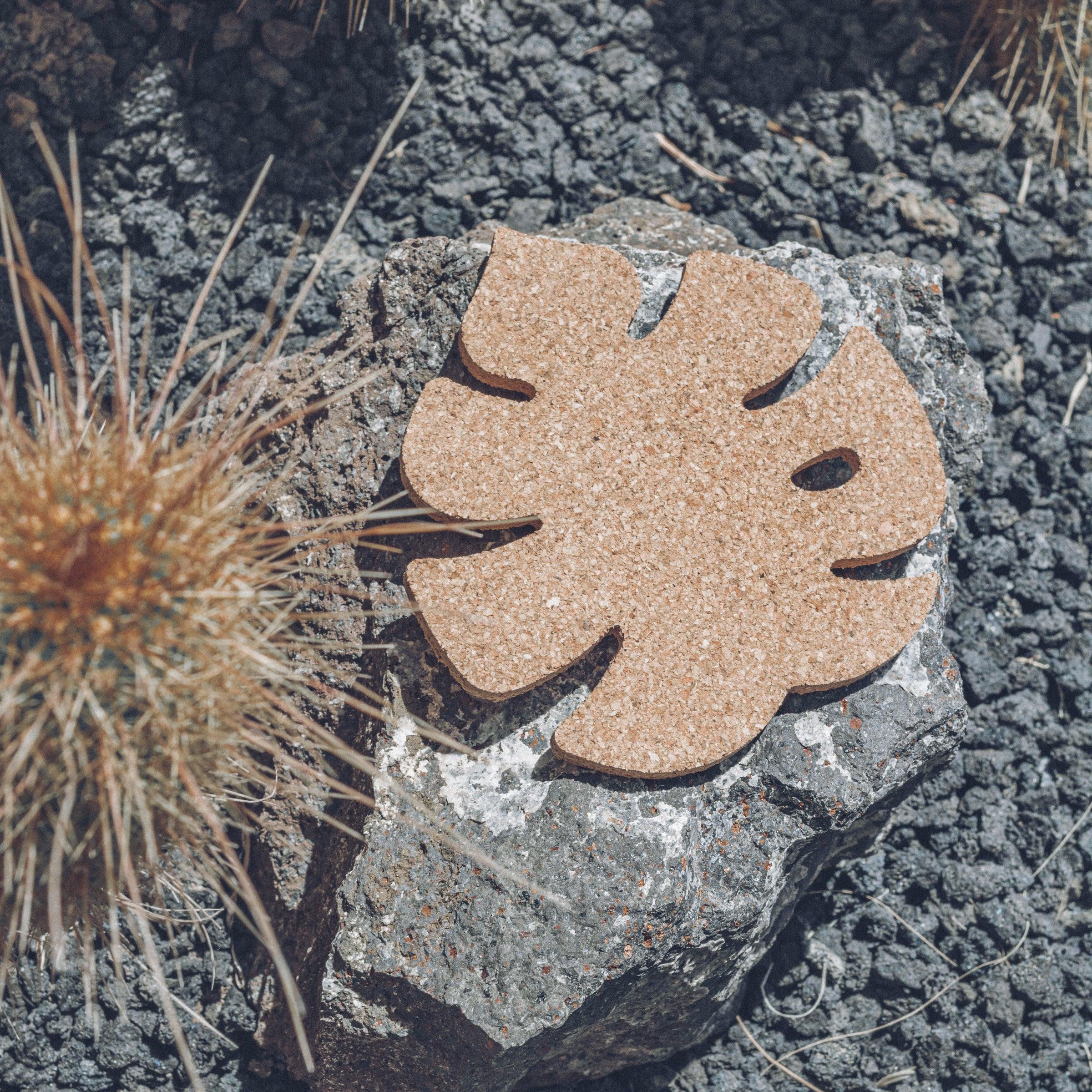 Set of six Monstera leaf shaped cork coasters, eco-friendly and stylish for home decor.