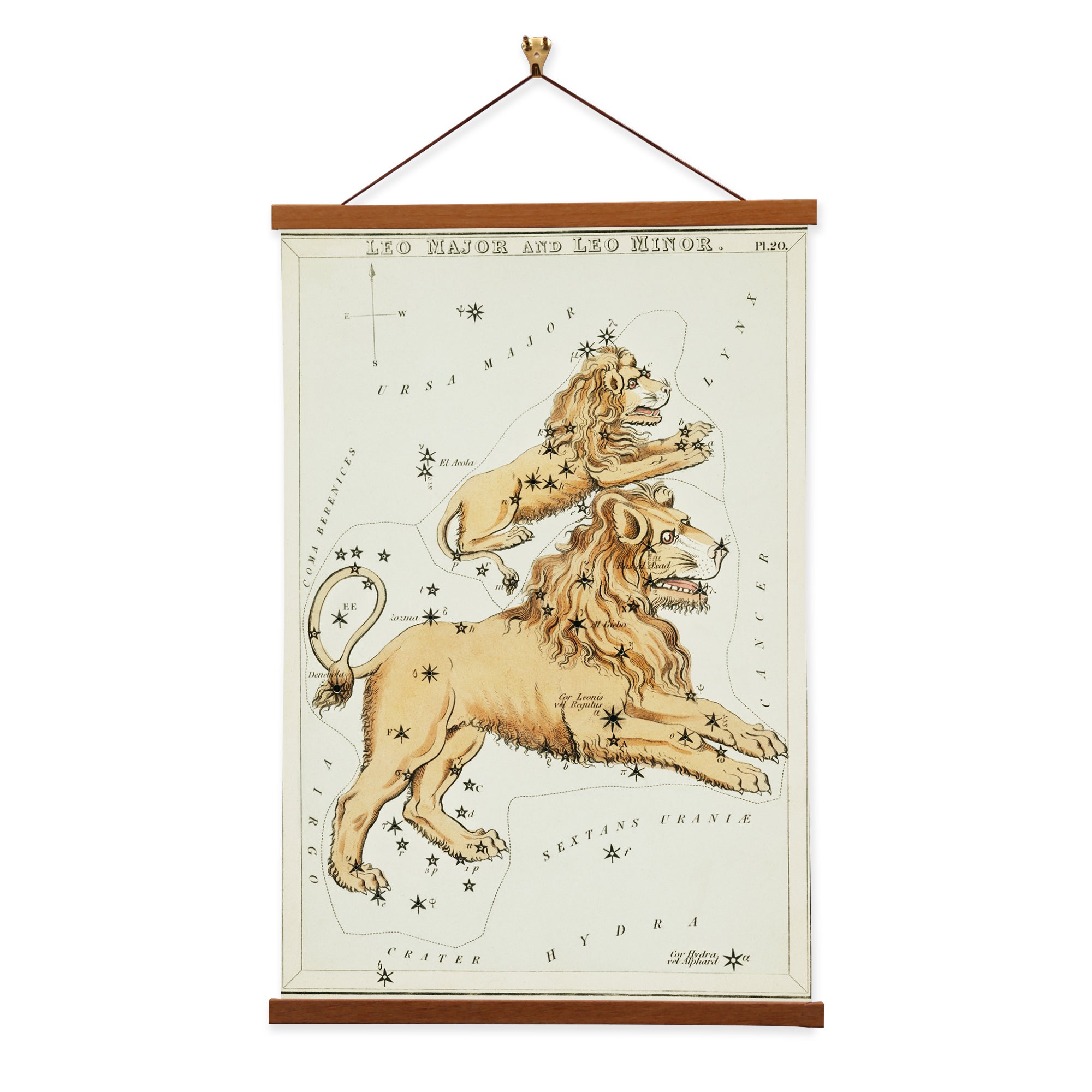 Canvas wall art featuring Leo Major and Leo Minor constellations by Sidney Hall, showcasing detailed stars and a lion's mane.