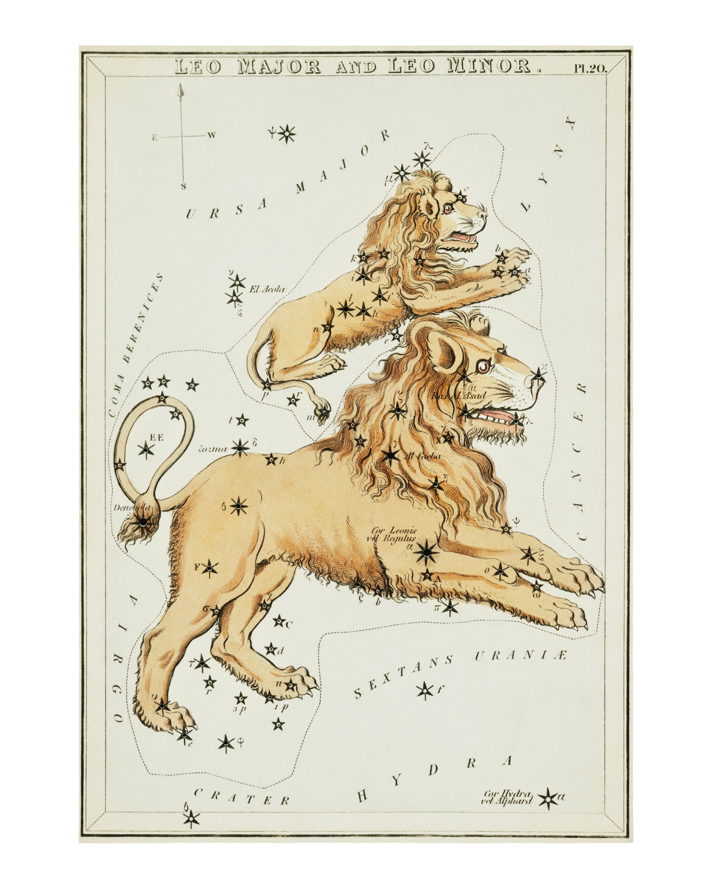 Canvas wall art featuring Leo Major and Leo Minor constellations by Sidney Hall, showcasing detailed stars and a lion's mane.