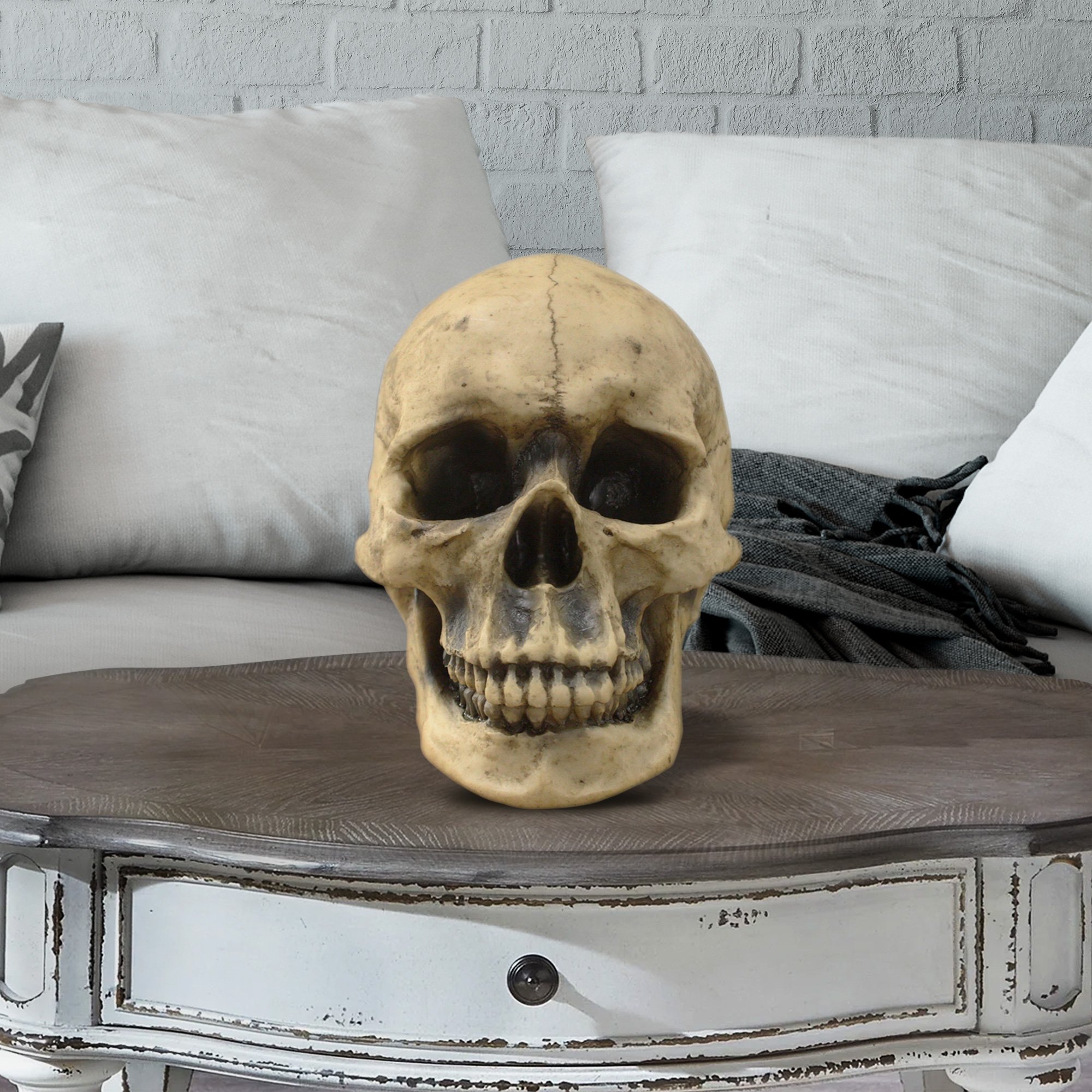 A realistic lifesize human skull made from eco-friendly polyresin, showcasing intricate details and a natural aged appearance.