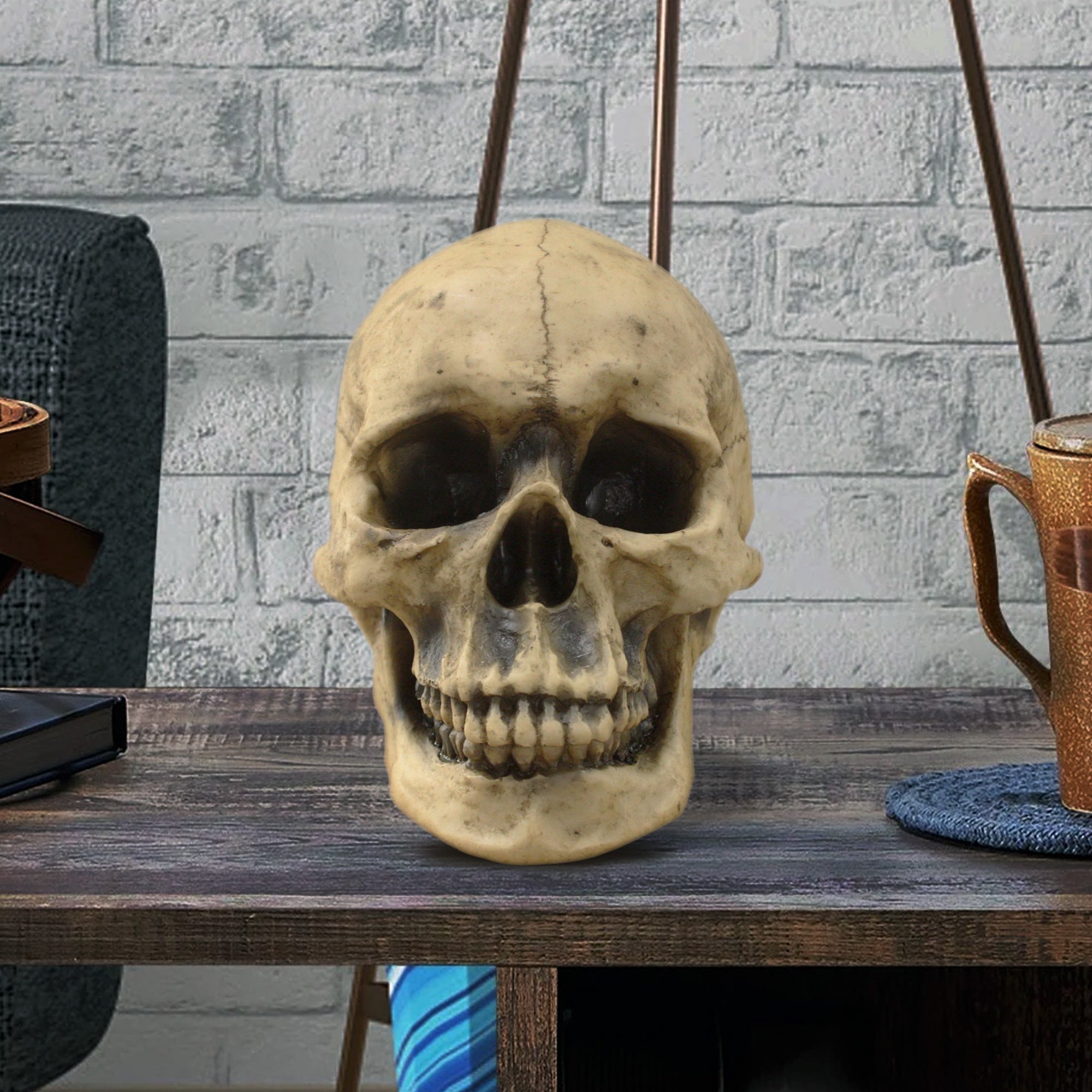 A realistic lifesize human skull made from eco-friendly polyresin, showcasing intricate details and a natural aged appearance.