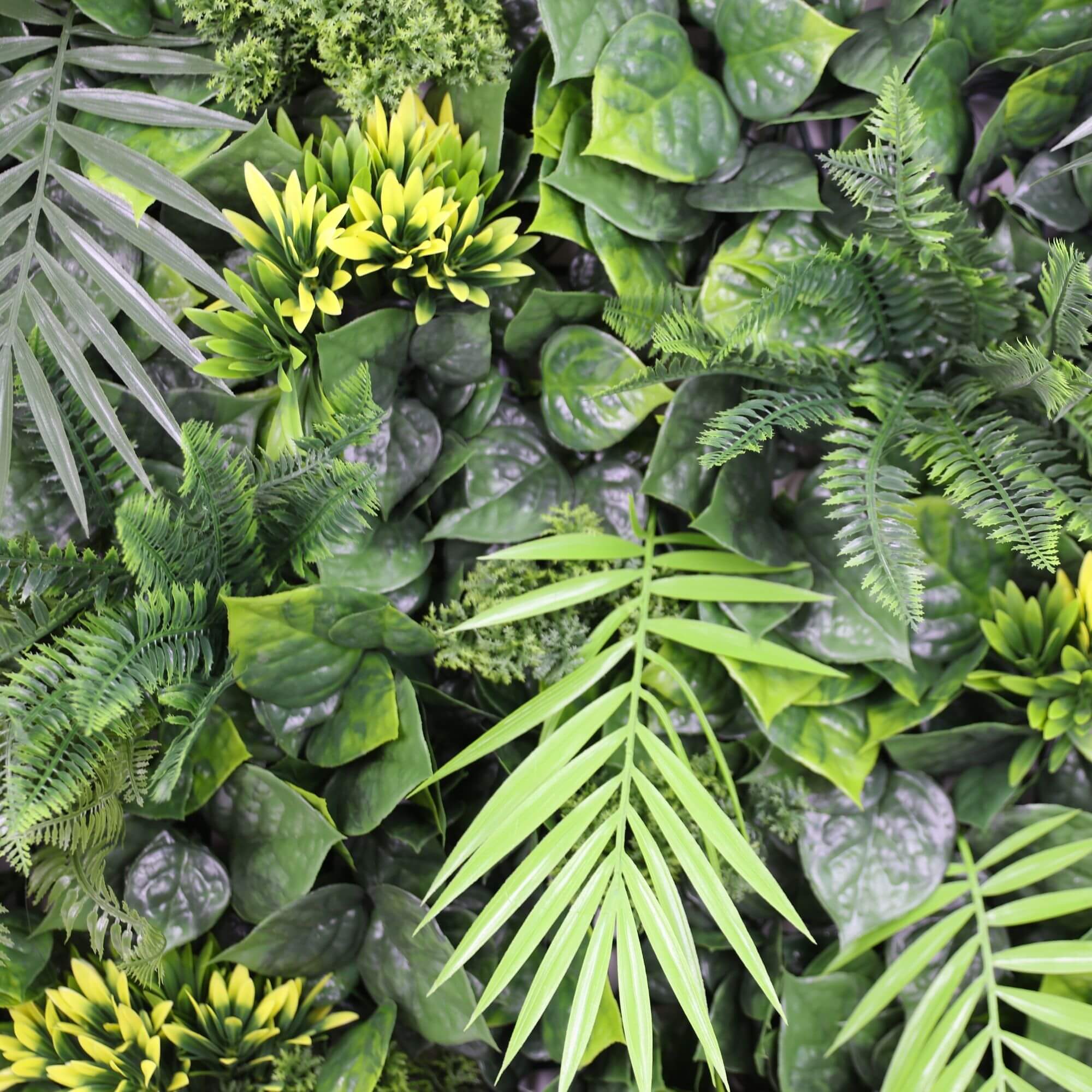 Luxury Hawaiian Sunrise Vertical Garden featuring lush ferns and vibrant flowers, designed for indoor and outdoor use.