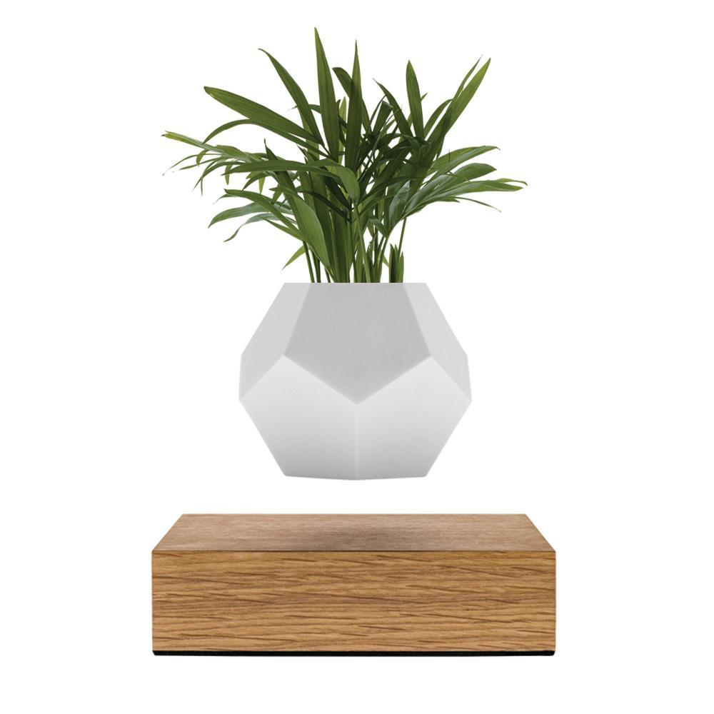 Lyfe Planter showcasing a 12-sided geodesic design, levitating a plant above an oak base, with a modern and tactile silicon finish.