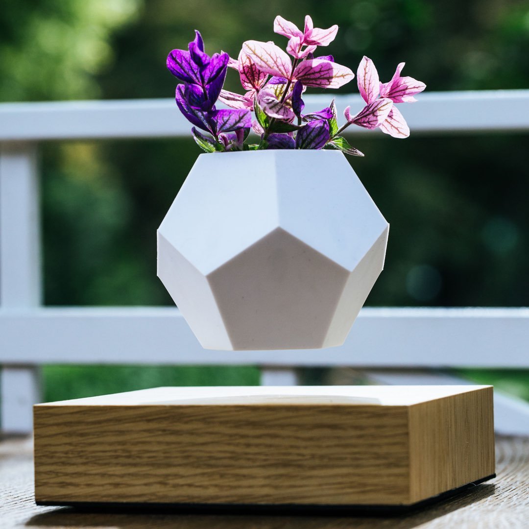 Lyfe Planter showcasing a 12-sided geodesic design, levitating a plant above an oak base, with a modern and tactile silicon finish.