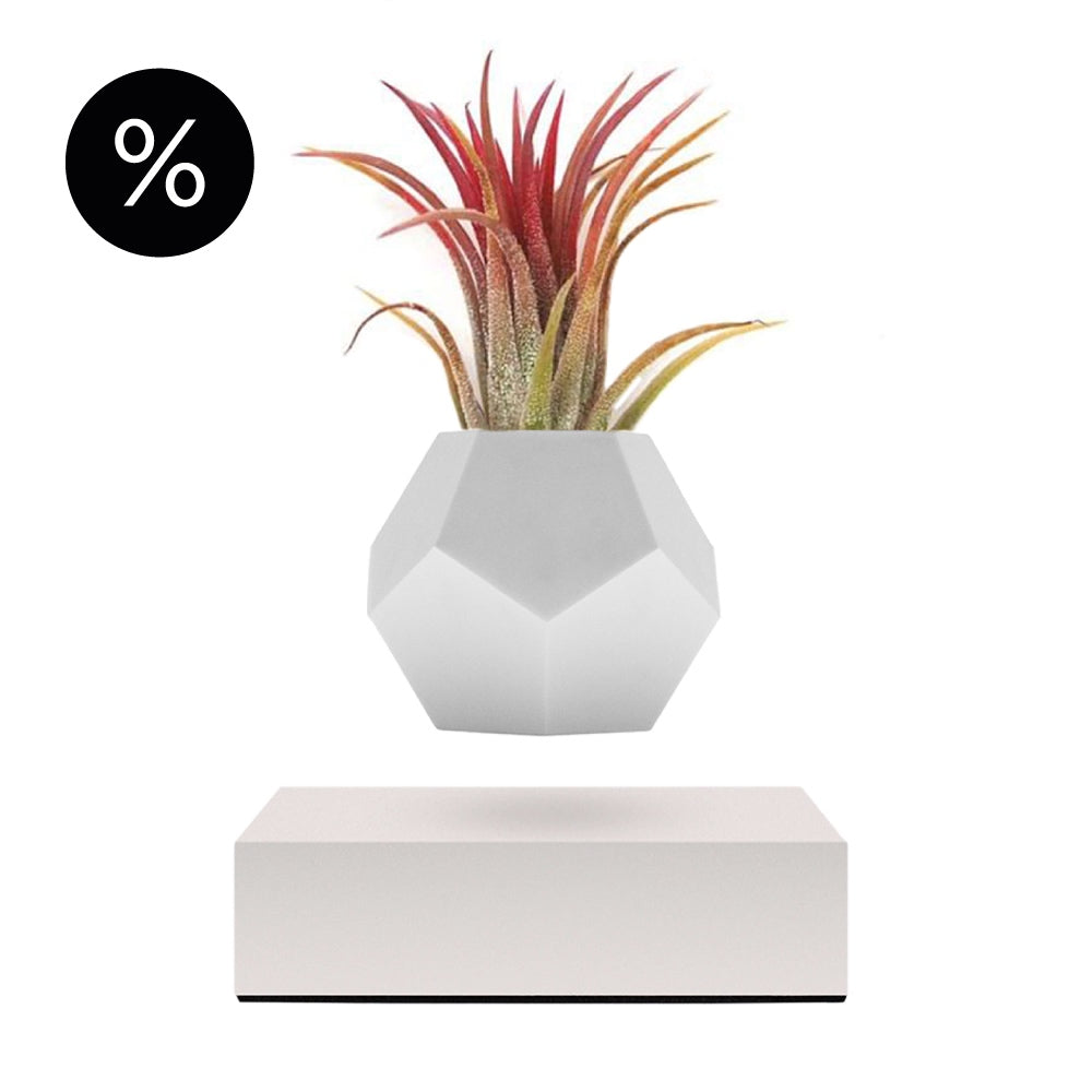 Lyfe Planter showcasing a 12-sided geodesic design, levitating a plant above an oak base, with a modern and tactile silicon finish.