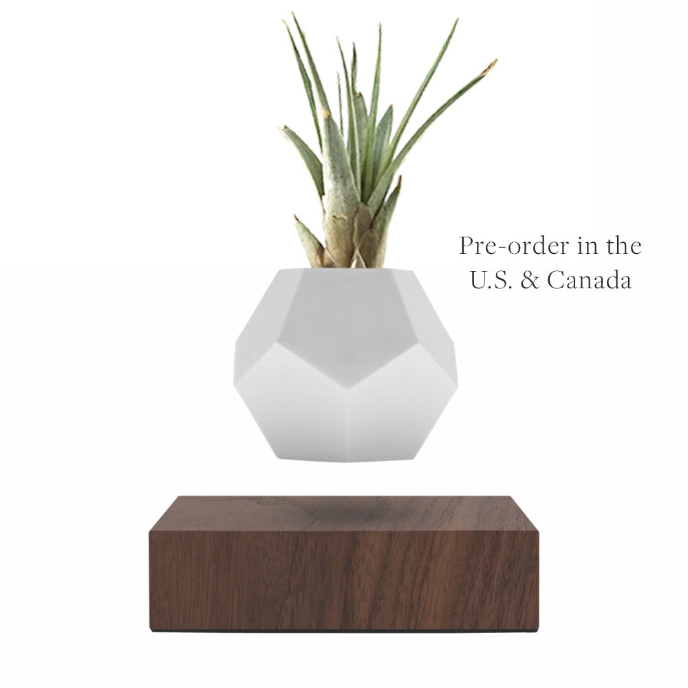 Lyfe Planter showcasing a 12-sided geodesic design, levitating a plant above an oak base, with a modern and tactile silicon finish.