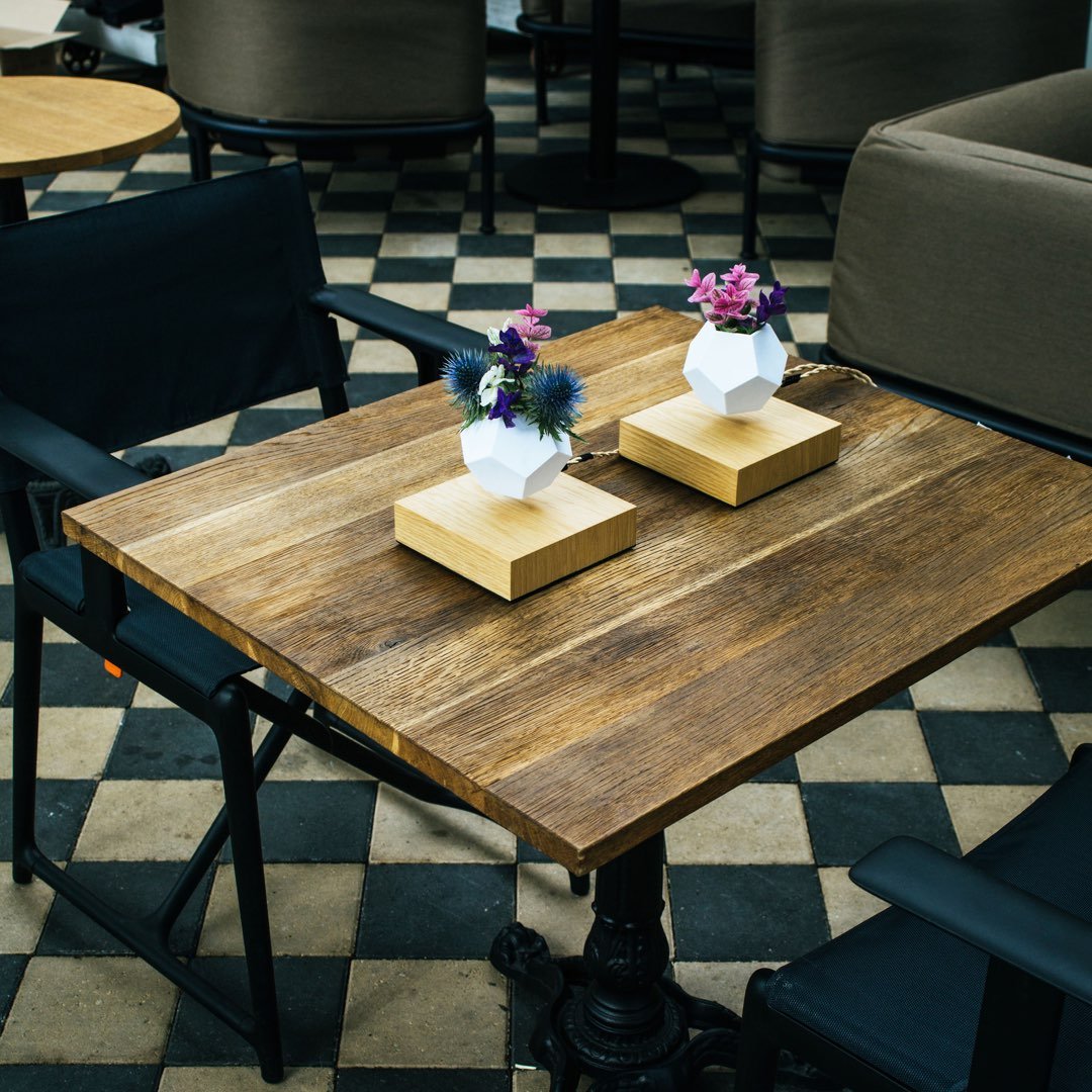 Lyfe Planter showcasing a 12-sided geodesic design, levitating a plant above an oak base, with a modern and tactile silicon finish.