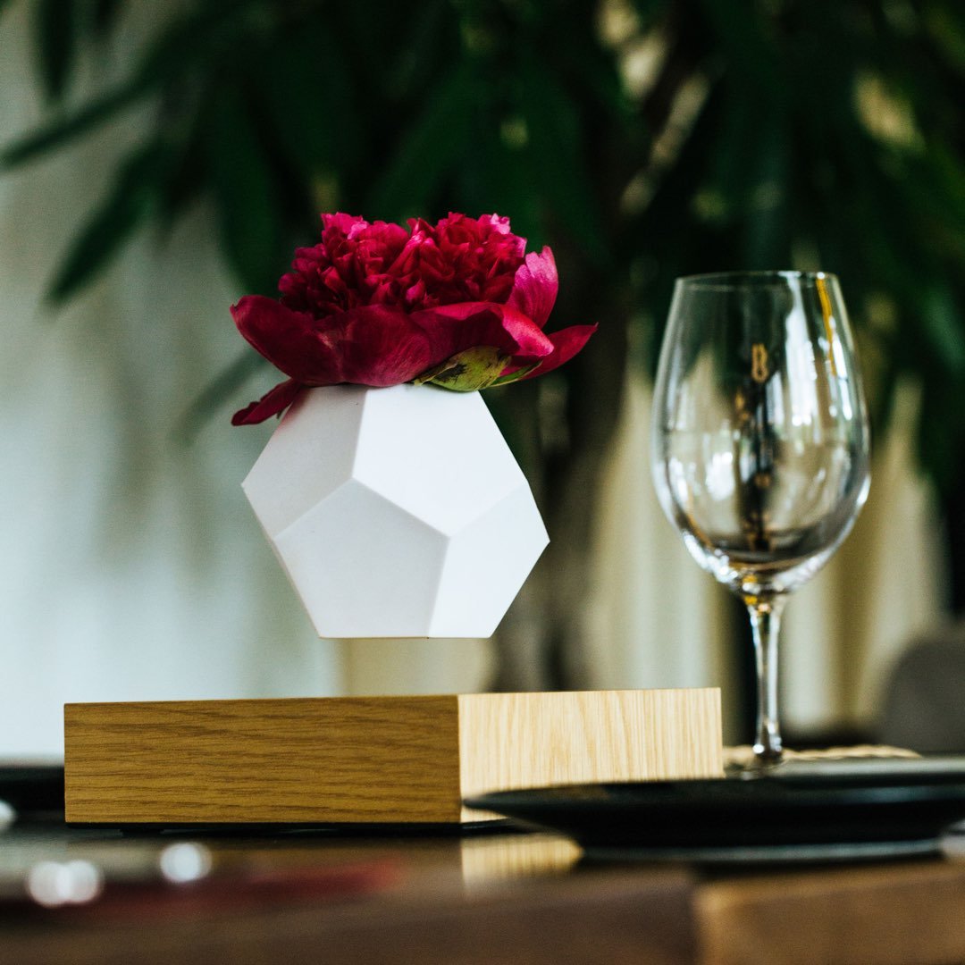 Lyfe Planter showcasing a 12-sided geodesic design, levitating a plant above an oak base, with a modern and tactile silicon finish.