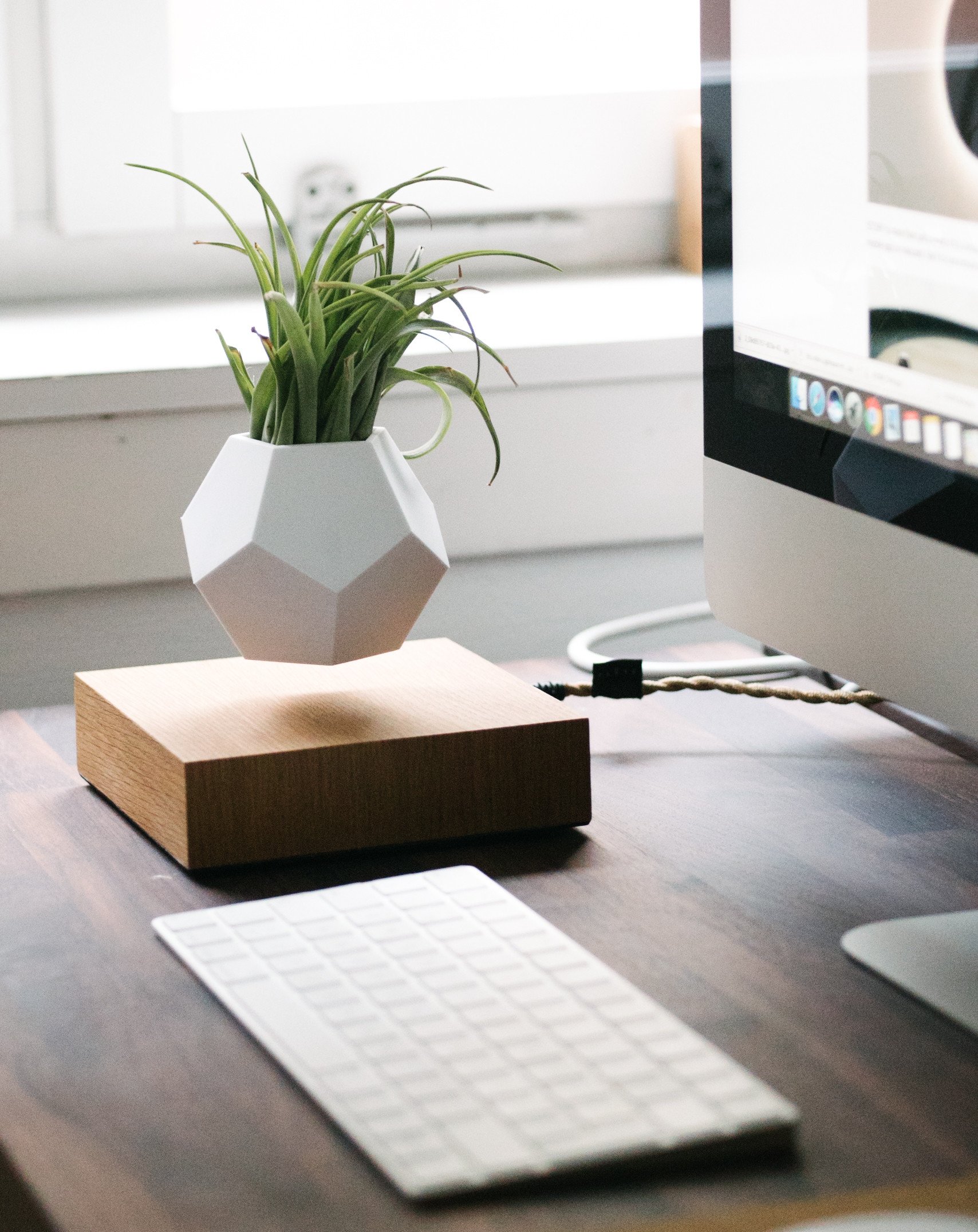 Lyfe Planter showcasing a 12-sided geodesic design, levitating a plant above an oak base, with a modern and tactile silicon finish.