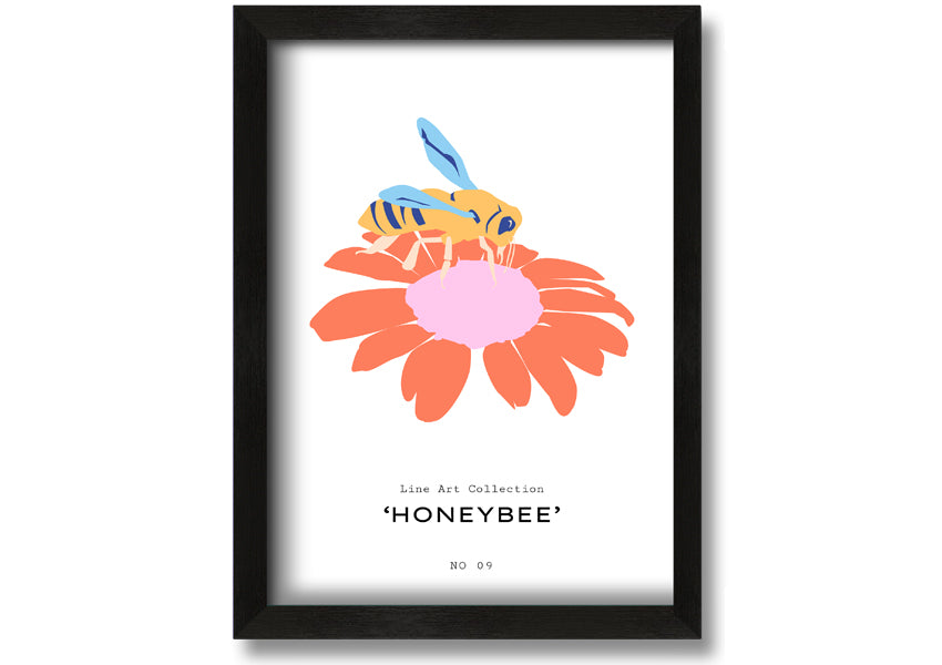 A beautifully framed print of a honey bee, showcasing intricate details, available in various frame colors.