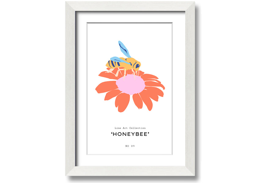 A beautifully framed print of a honey bee, showcasing intricate details, available in various frame colors.