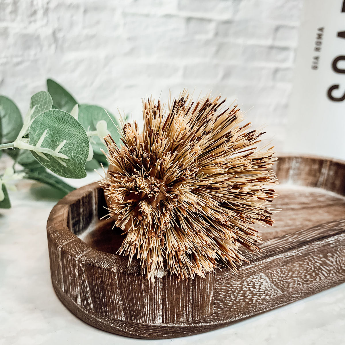 Natural Sisal Brush with ergonomic beech wood handle and durable bristles, perfect for eco-friendly cleaning.