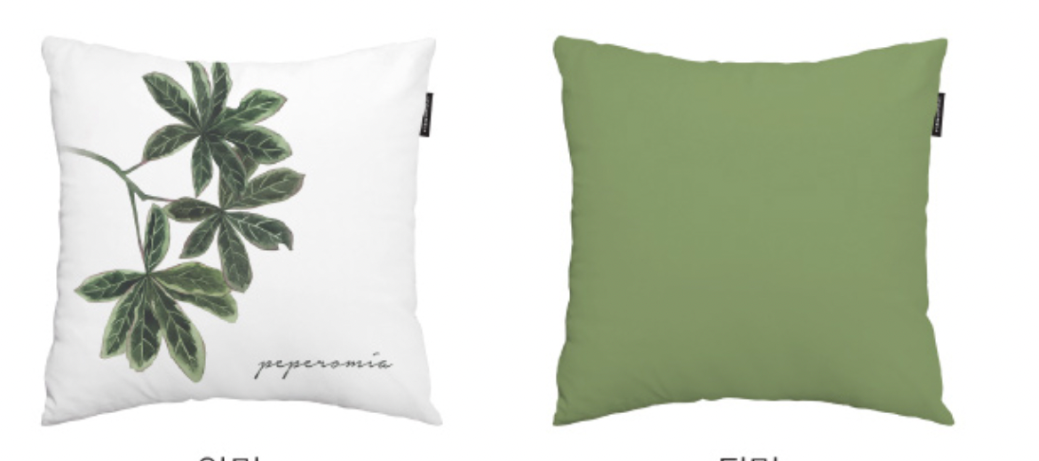 Palm Leaf Peperomia cushion showcasing double-sided design and high-quality microfiber fabric.