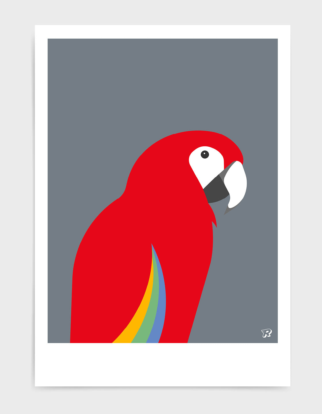 A vibrant Red Macaw art print showcasing a tropical bird in bold colors.