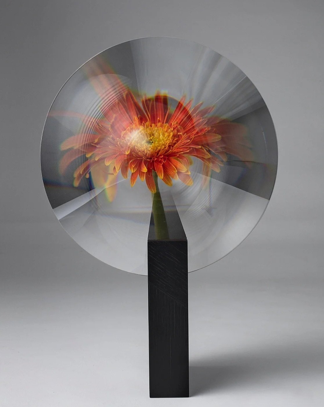 A modern decorative Phantom Vase showcasing a unique floating flower illusion, crafted from acrylic and metal, elegantly displayed with flowers.