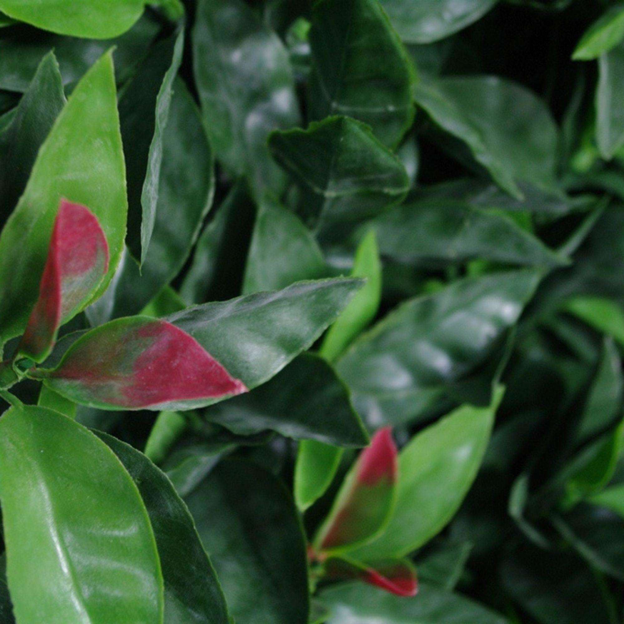 Photinia Artificial Hedge Panel showcasing vibrant red and green foliage, perfect for enhancing outdoor spaces.