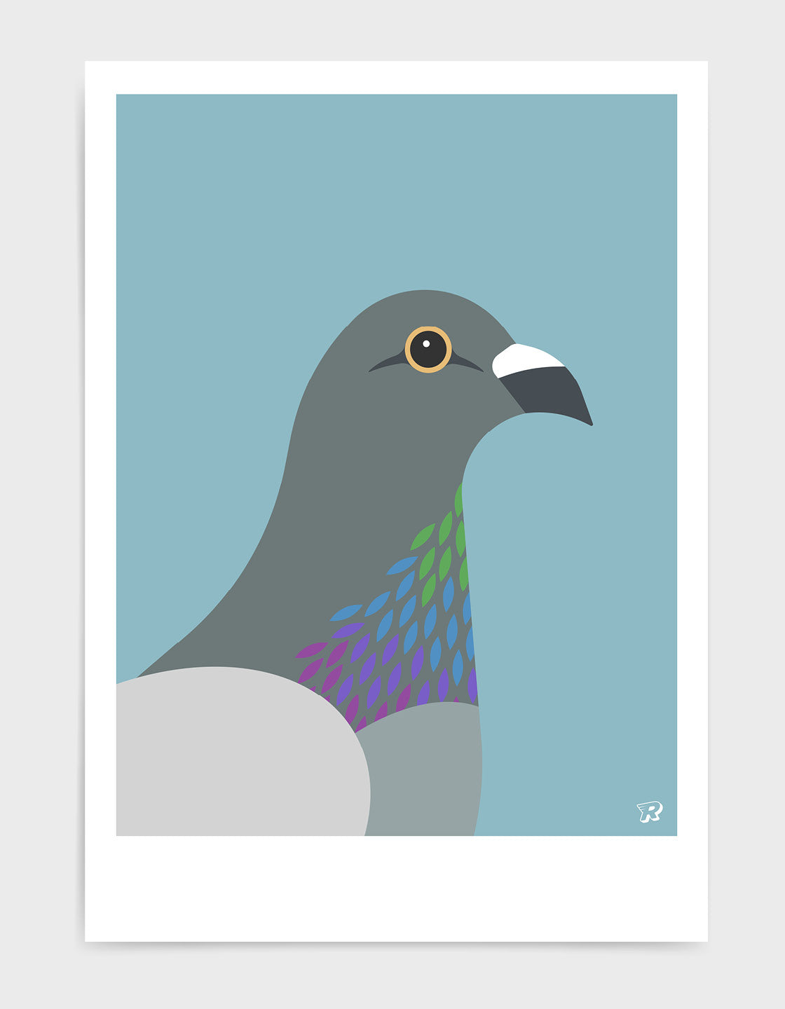 A colorful pigeon showcasing its majestic iridescent chest feathers in a natural setting.