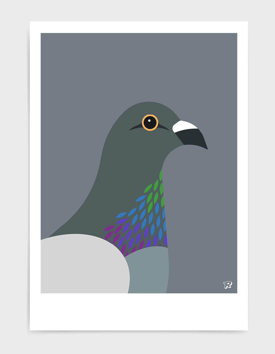 A colorful pigeon showcasing its majestic iridescent chest feathers in a natural setting.