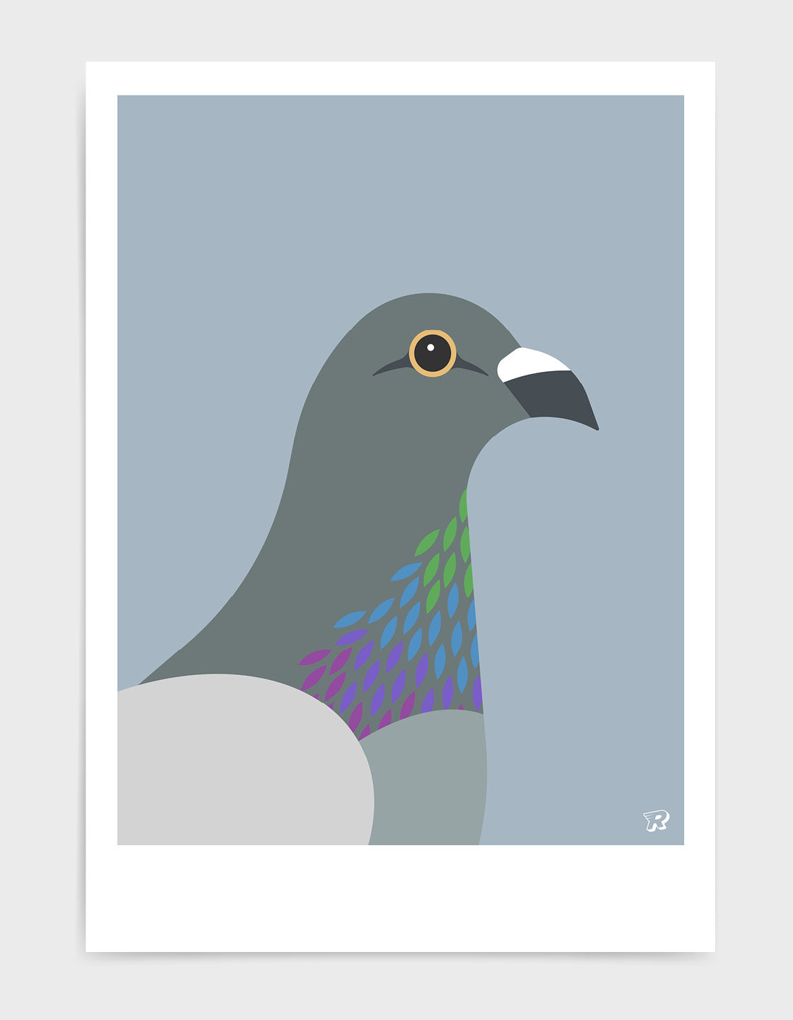 A colorful pigeon showcasing its majestic iridescent chest feathers in a natural setting.