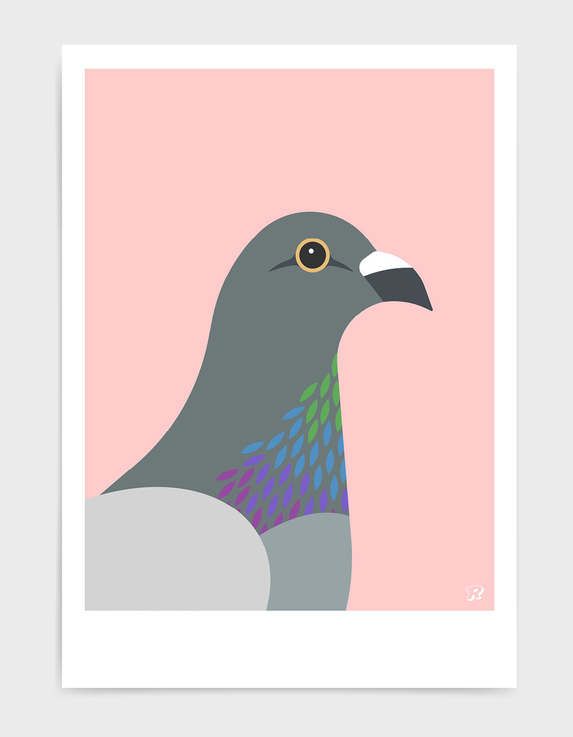 A colorful pigeon showcasing its majestic iridescent chest feathers in a natural setting.