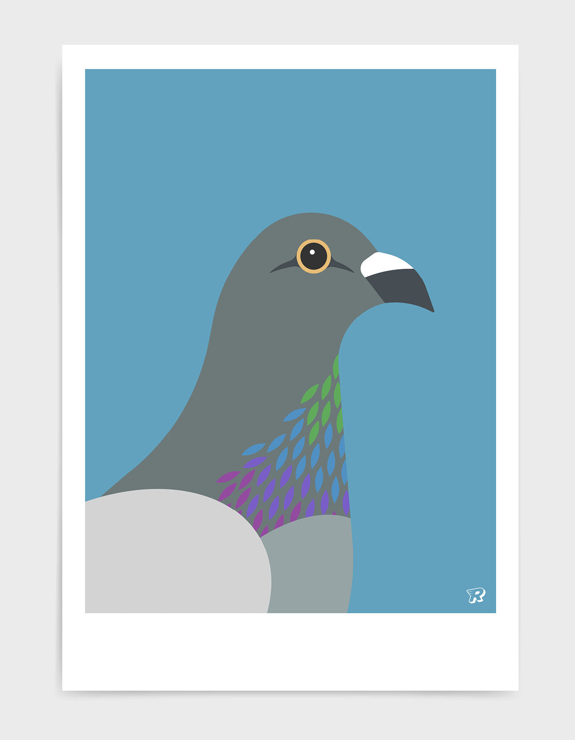 A colorful pigeon showcasing its majestic iridescent chest feathers in a natural setting.