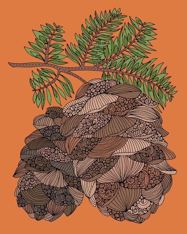 Archival art print of pine cones in pen and ink with digital coloring, 8x10 inches on matte cardstock.