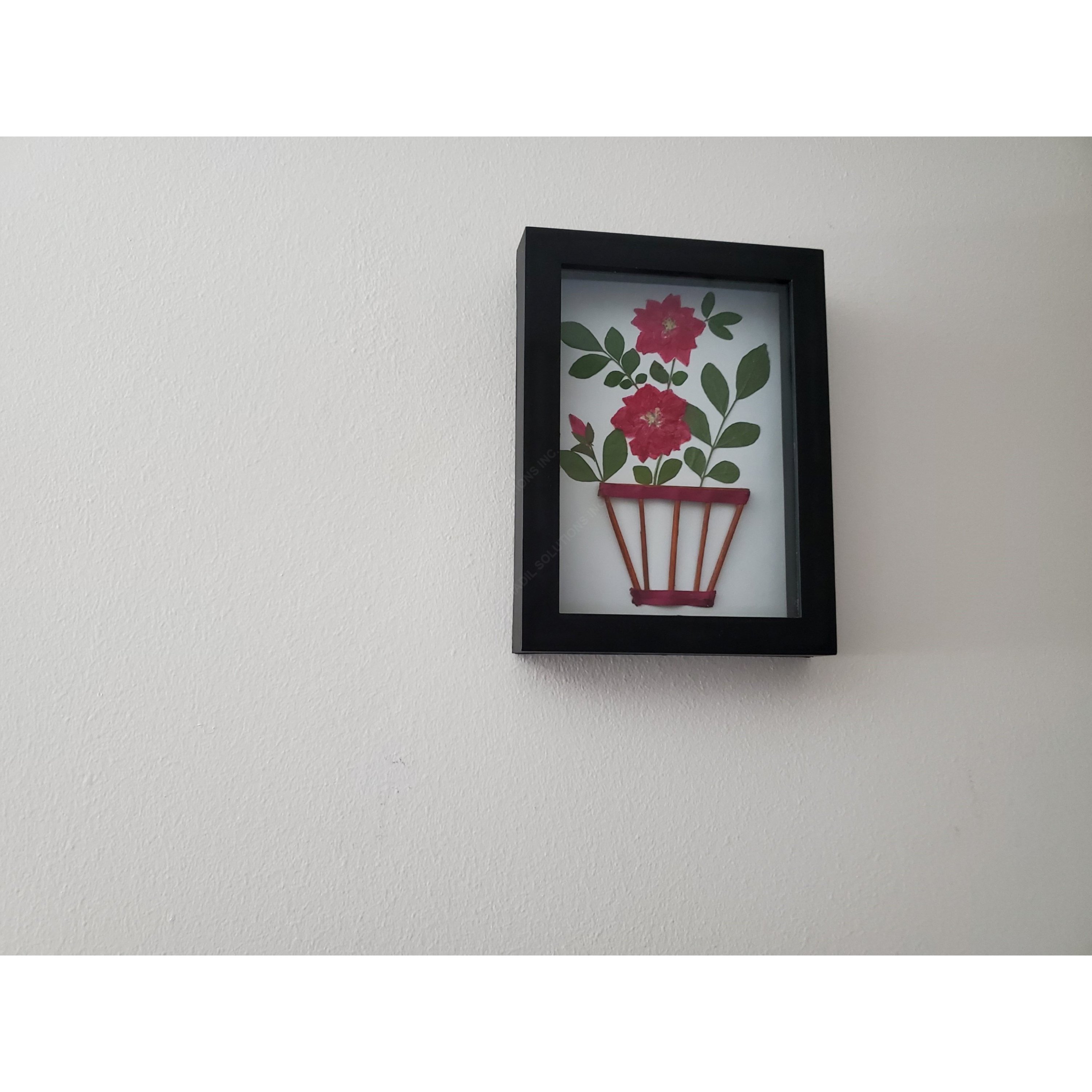 A beautifully framed Pink Flower Herbarium showcasing pressed pink flowers, perfect for wall decor.