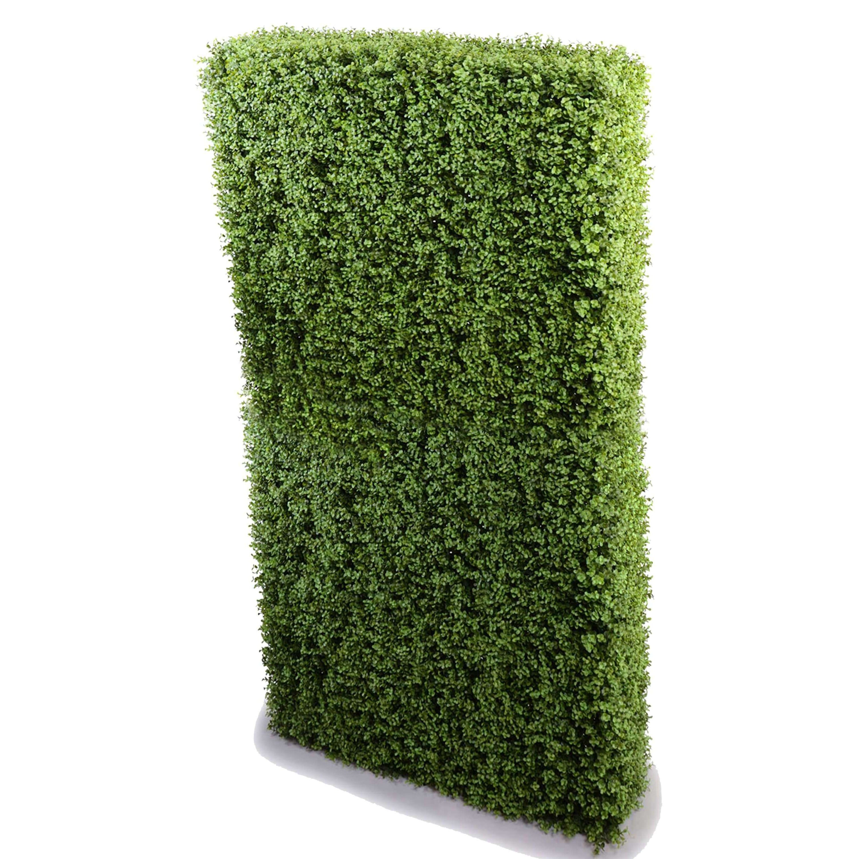 Portable Premium Buxus Artificial Hedge measuring 2m x 1m with realistic foliage, ideal for outdoor and indoor use.