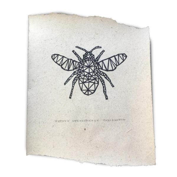 Hand-drawn bee poster on organic paper featuring elephant dung, available in two sizes.