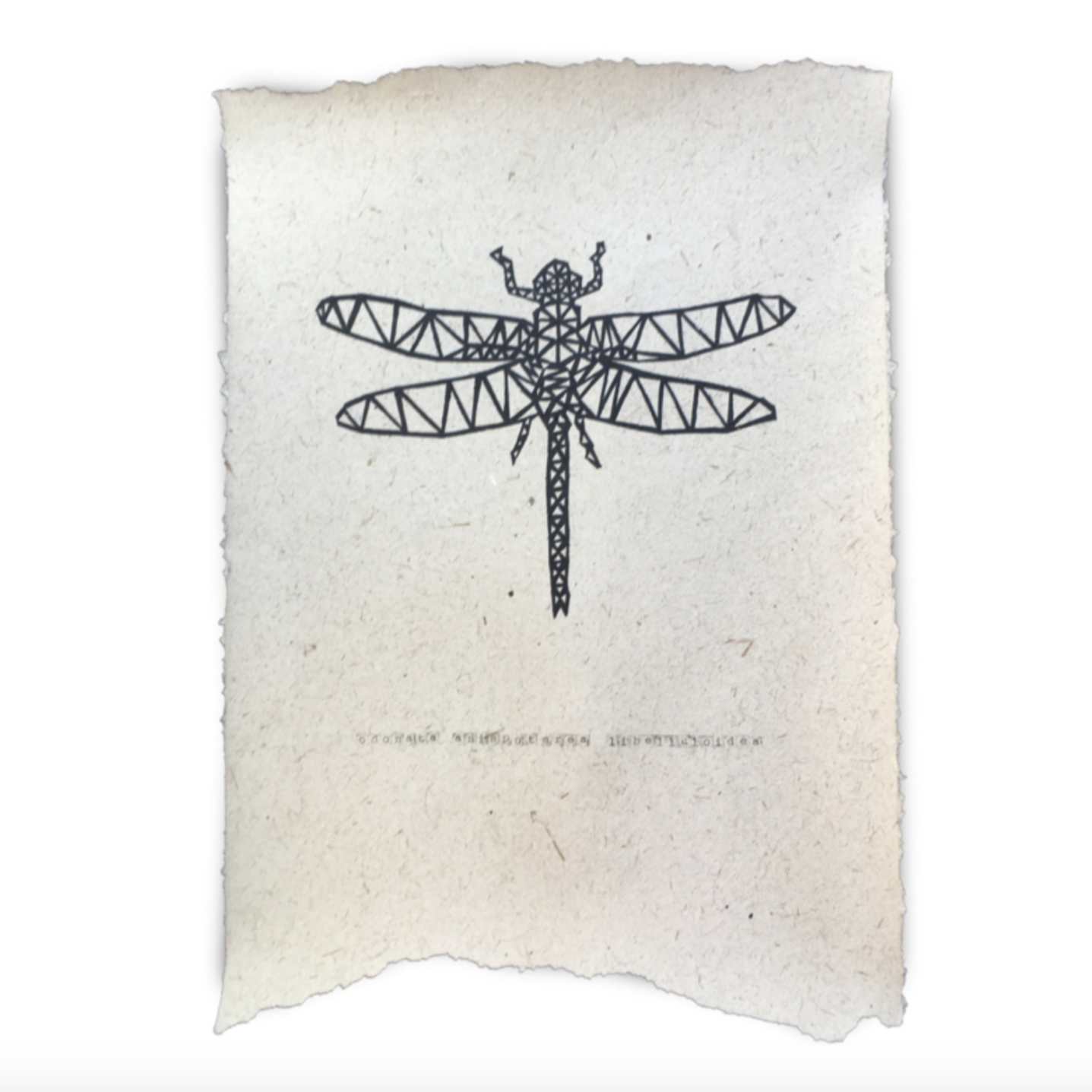 Hand-drawn dragonfly poster on organic paper, showcasing intricate details and unique texture.