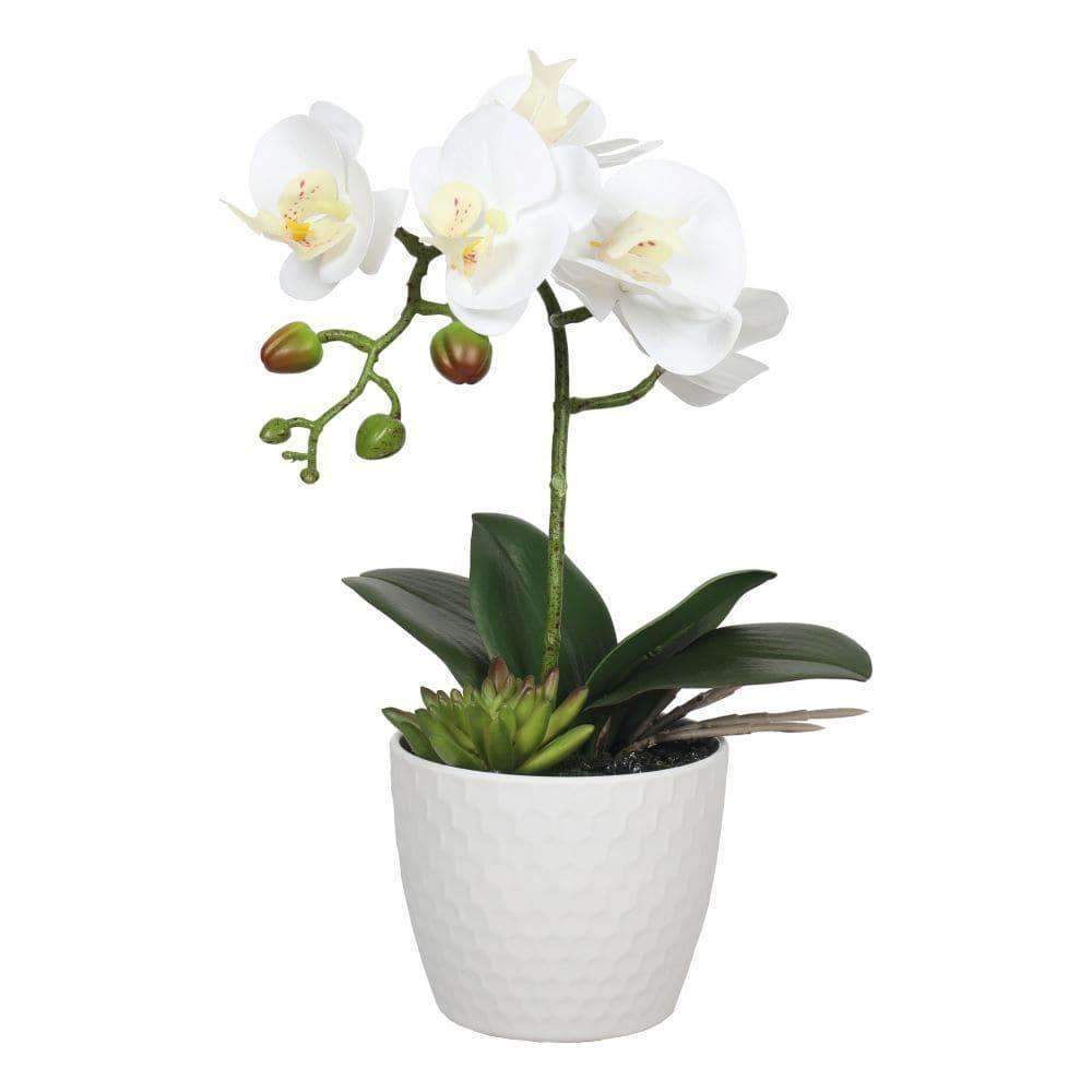 A beautiful Potted Single Stem White Phalaenopsis Orchid in a modern decorative pot, showcasing lifelike petals and green leaves.