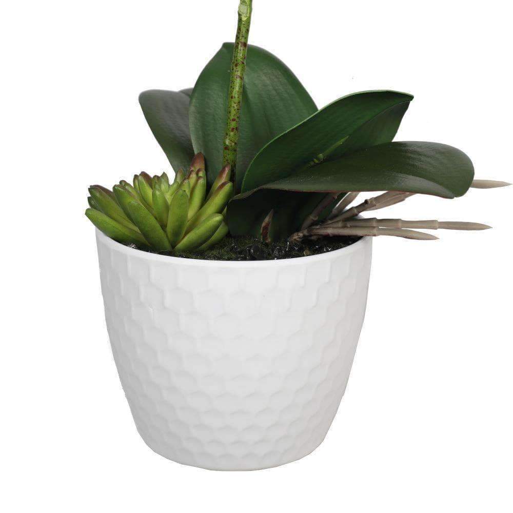 A beautiful Potted Single Stem White Phalaenopsis Orchid in a modern decorative pot, showcasing lifelike petals and green leaves.