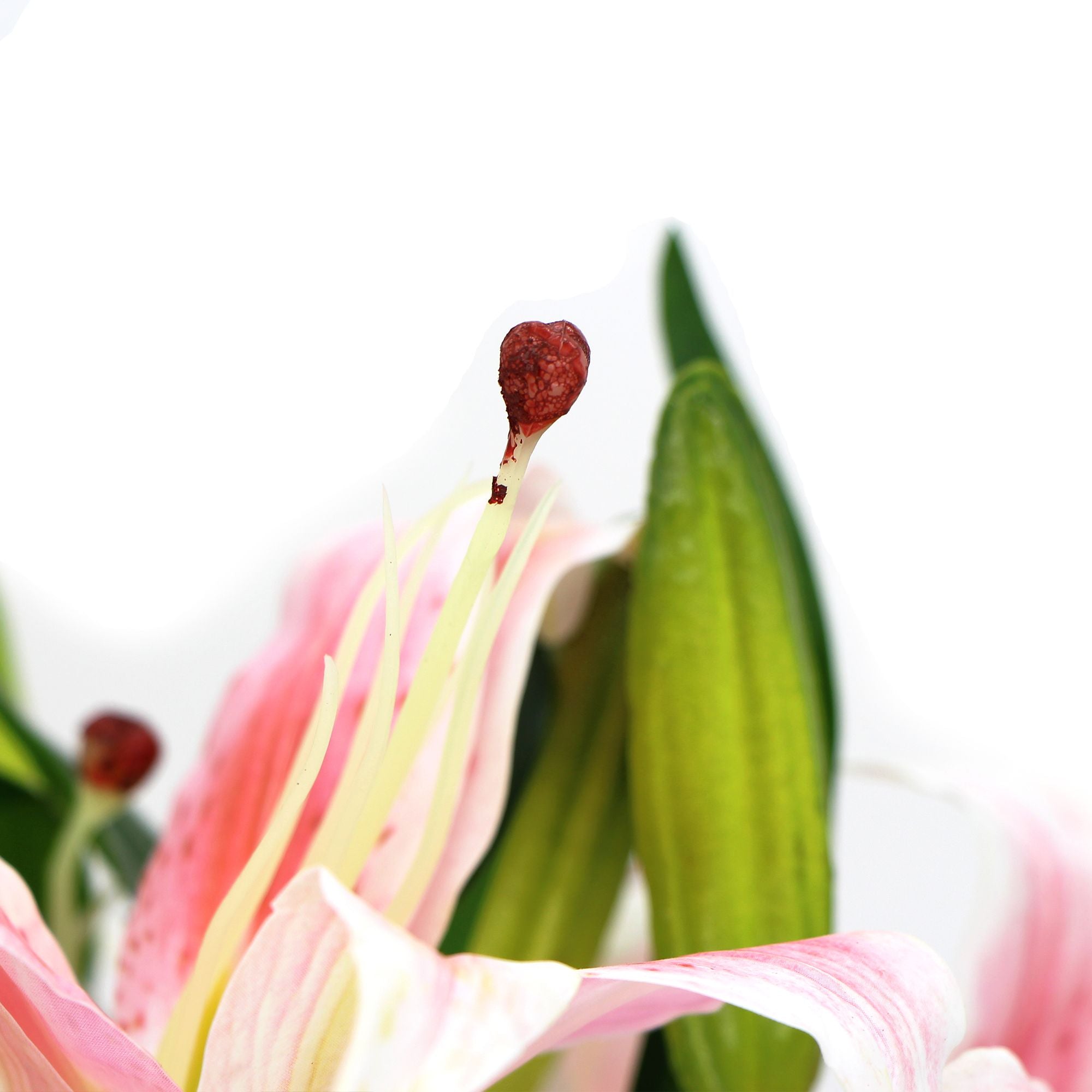 A beautiful arrangement of premium faux pink lilies in a clear glass vase, showcasing realistic flowers and foliage.